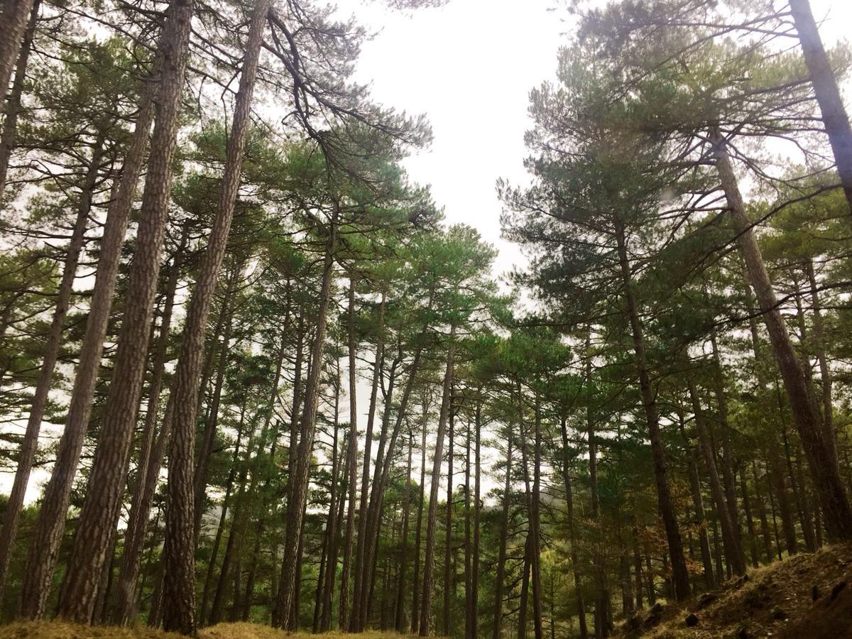 维维恩达旅行乡村卡萨卡米罗酒店 塞古拉 - 德拉谢拉 外观 照片